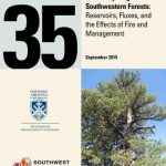 Carbon Cycling in Southwestern Forests