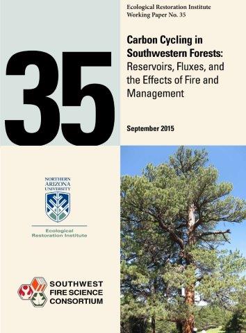 Carbon Cycling in Southwestern Forests