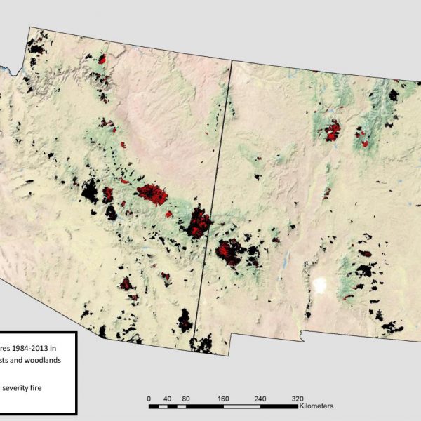 August 24, 2016: Increasing trends in high severity fire in the southwestern USA from 1984-2013