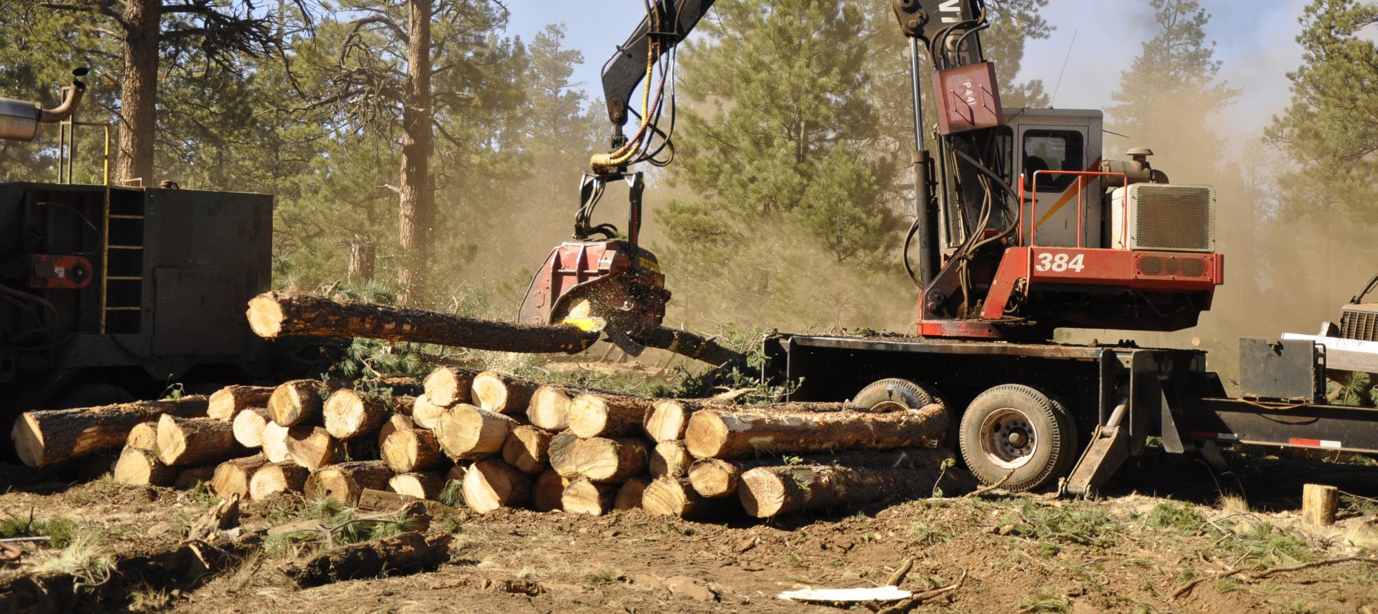 A forest harvester cuts and stacks logs for the White Mountain Stewardship Project in Arizona.