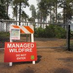 April 12, 2017: Efficacy of resource objective wildfires for restoring ponderosa pine ecosystems in N. Arizona