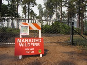 April 12, 2017: Efficacy of resource objective wildfires for restoring ponderosa pine ecosystems…