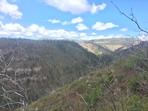 August 31, 2017: The East Jemez Landscape Futures Project