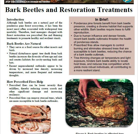 Bark Beetles and Restoration Treatments