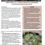 Fire moss as a tool for post-wildfire ecosystem restoration
