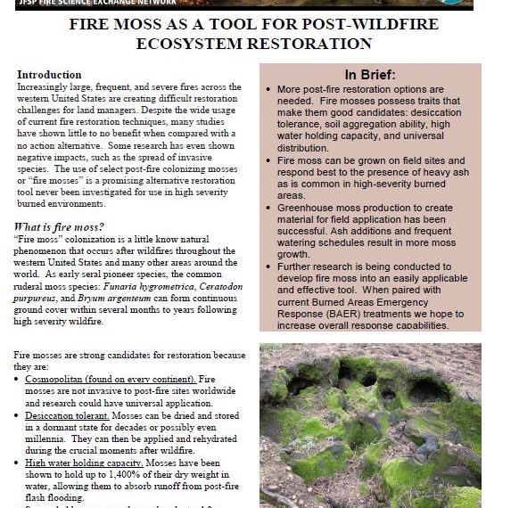 Fire moss as a tool for post-wildfire ecosystem restoration