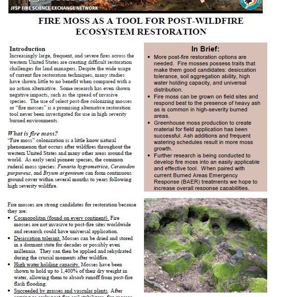 Fire moss as a tool for post-wildfire ecosystem restoration