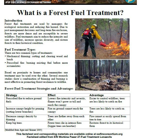 What is a forest fuel treatment?