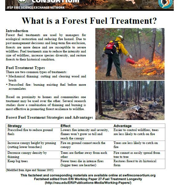 What is a forest fuel treatment?