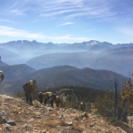 December 6, 2017: Federal fire managers’ perceptions of the importance, scarcity & substitutability of suppression resources