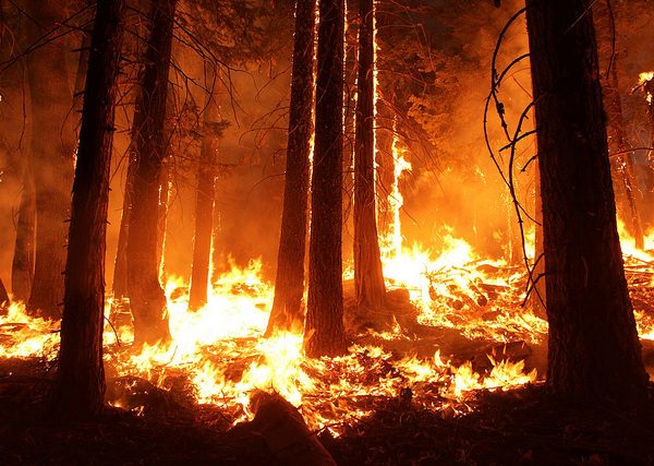 May 22, 2019: Do trends in climate influence the increase in high-severity wildfire in the southwestern US from 1984 to 2015?