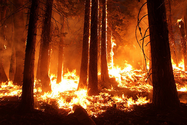 May 22, 2019: Do trends in climate influence the increase in high-severity wildfire…