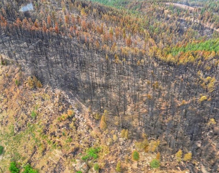Oct 16, 2019: Contributions of fire refugia to resilient ponderosa pine and dry mixed-conifer forest landscapes