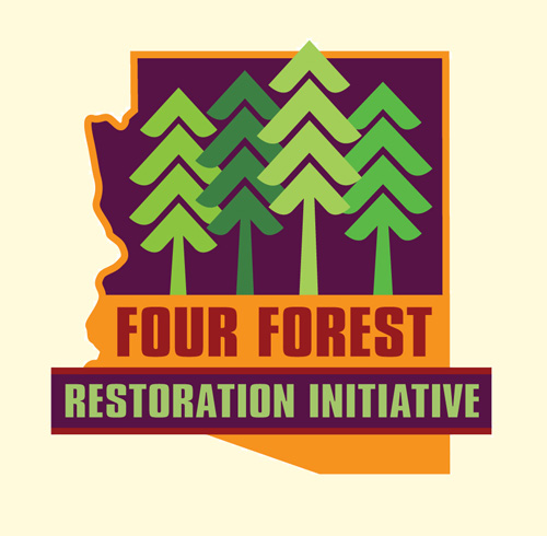 Oct 23, 2019: Large-scale forest restoration stabilizes carbon under climate change