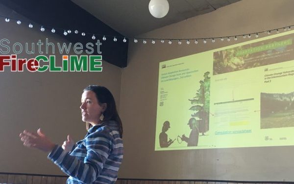 May 5, 2020: Adaptation strategies for climate and fire in the Southwest