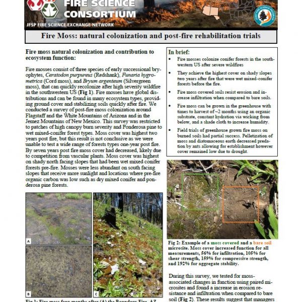 Fire Moss: Natural colonization and post-fire rehabilitation trials