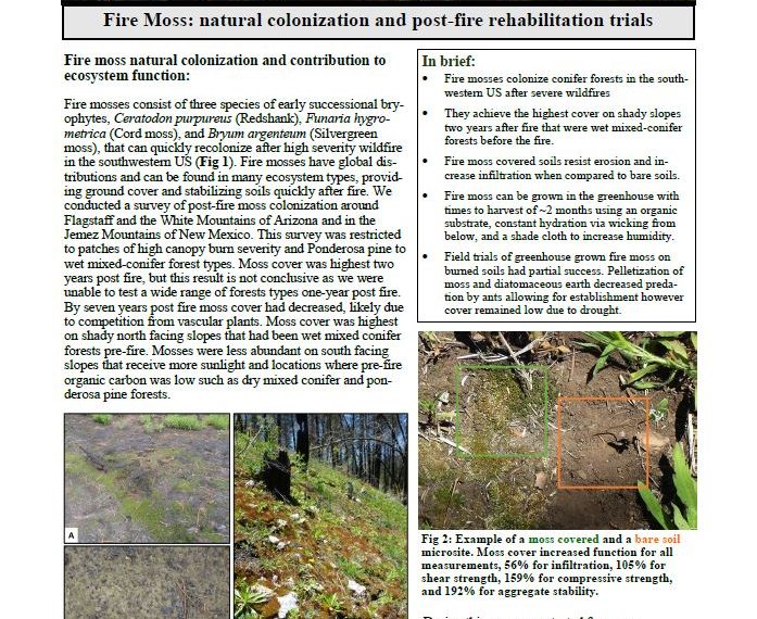 Fire Moss: Natural colonization and post-fire rehabilitation trials
