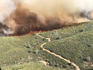 Overview and Verification of LANDFIRE Fuels: 2022 Cooks Peak Fire 