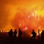 Wildfire and COVID-19 Response