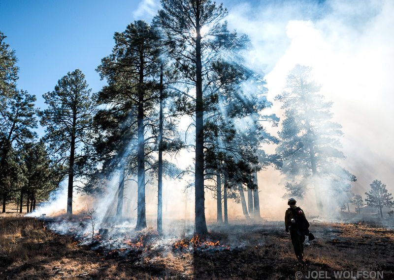 Fire Science and Management in an Uncertain Future