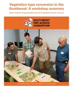 Southwest Vegetation Type Conversion: A workshop summary