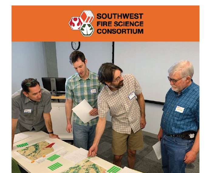 Southwest Vegetation Type Conversion: A workshop summary