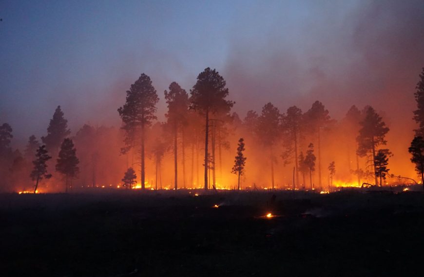 Policy Change & Wildland Fire Management