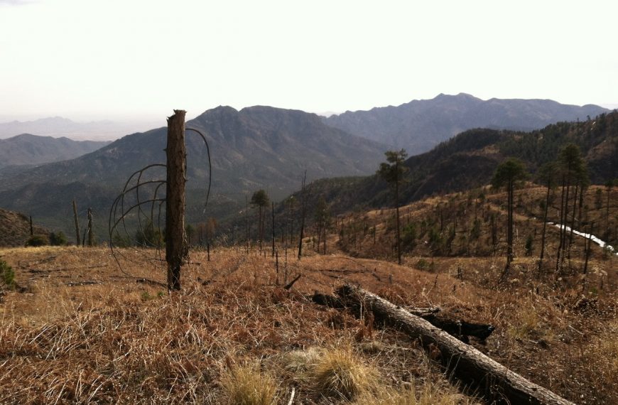 East Jemez Landscape Futures