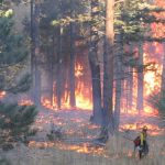 Can landscape fuel treatments enhance both protection and resource management objectives?