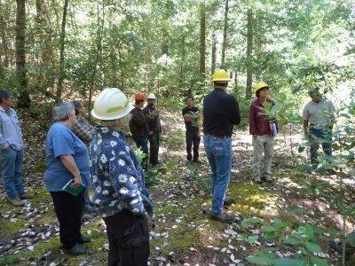 Group of people wearing hard hats standing in a green forest.