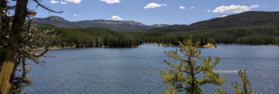 A large lake surrounded by a pine forest, beneath a blue sky.