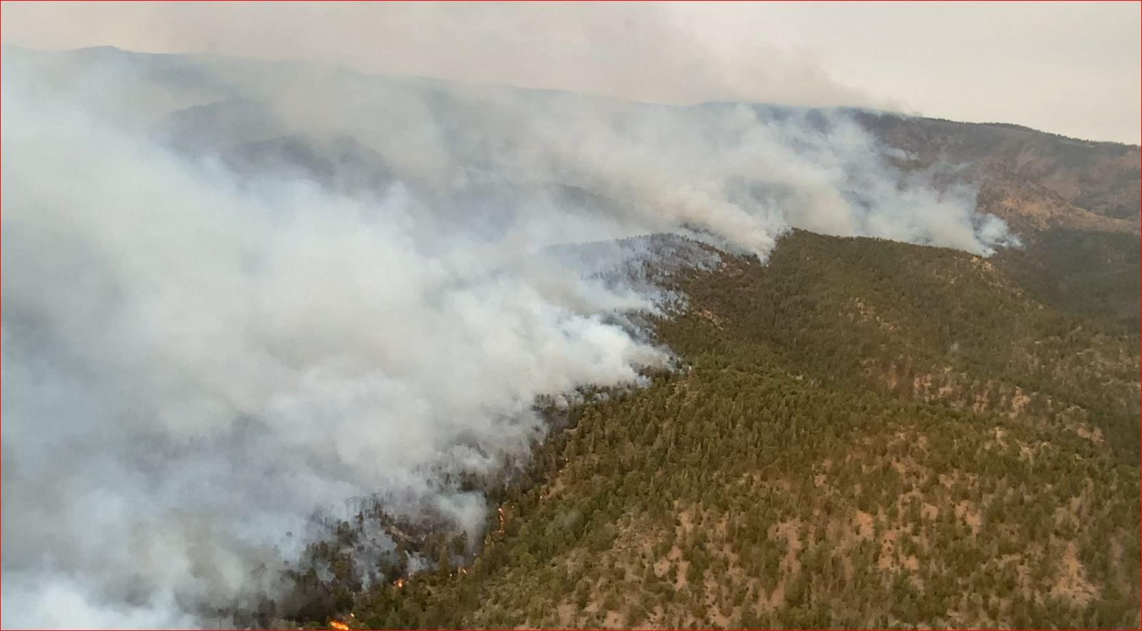 Pine covered hill half drenched in smoke.