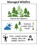 Managed Fire Fact Sheet