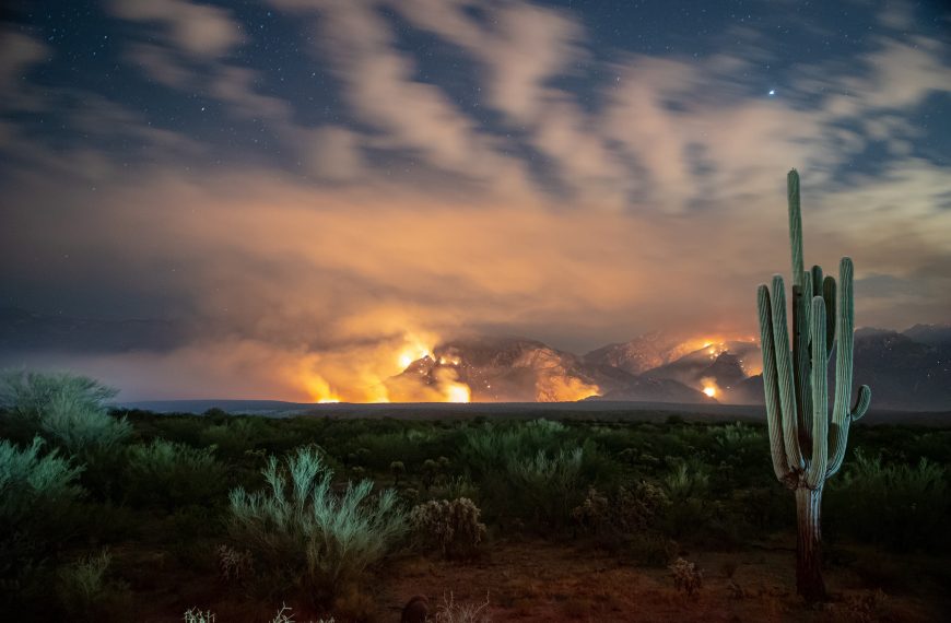 Grassification and Fast-Evolving Fire Connectivity and Risk in the Sonoran Desert