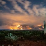 Fire in the Sonoran Desert
