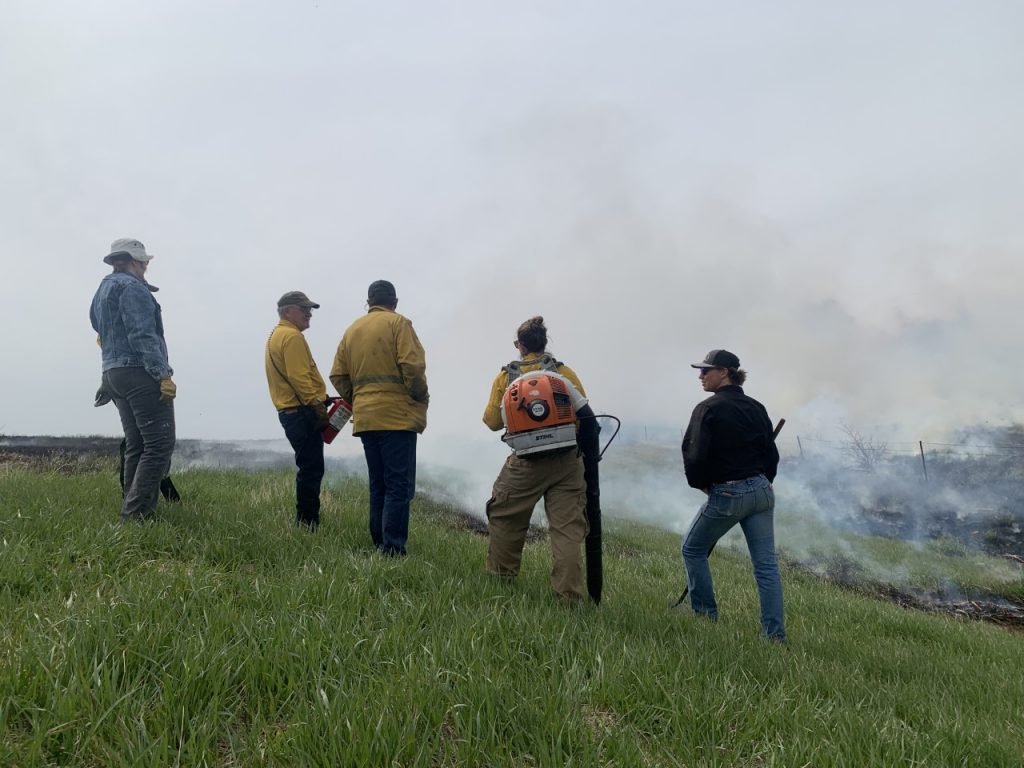 Group of people look into a cloud of smoke