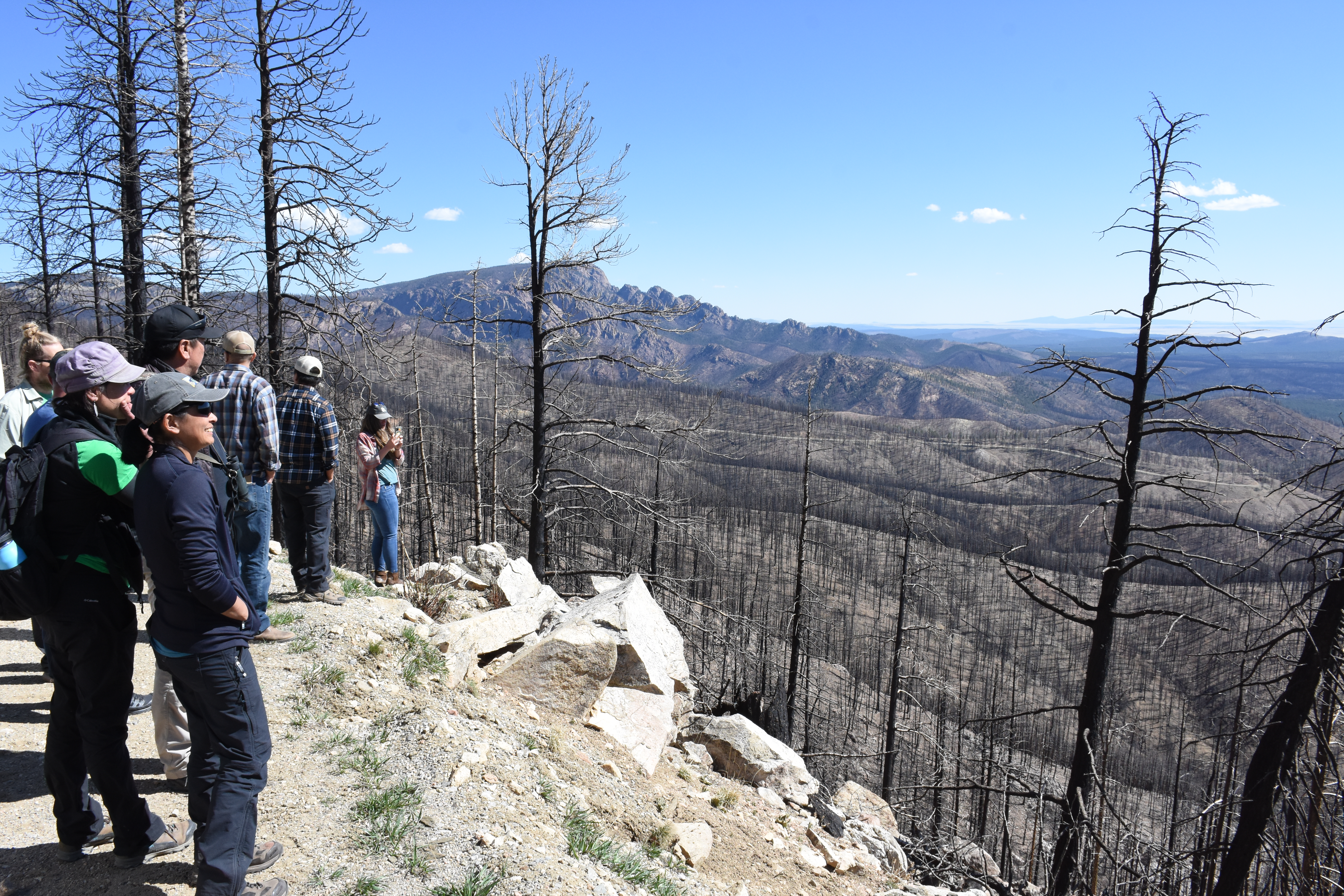 A group of people stands at a lookout point gazing into the fire footprint. They see many burned trees and the vegetation greening up.