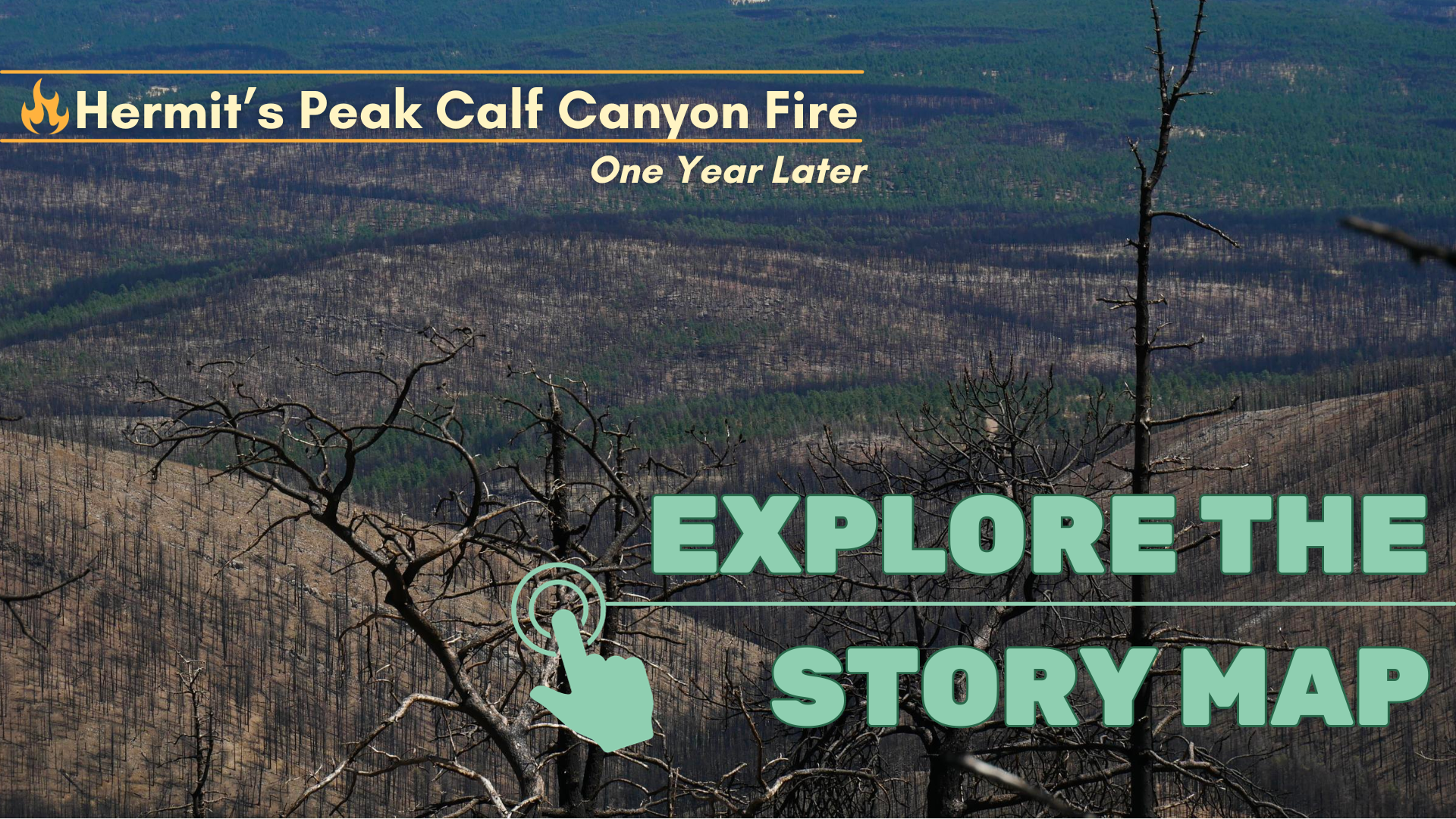 Image Text reads: "Hermit's Peak Calf Canyon Fire: One Year Later" and "Explore the Story Map" with a clickable link. The image shows a partial view of the burn footprint of the Hermit's Peak Calf Canyon Fire taken one year later. There are burned trees in the foreground and some patches of green trees in the background. 