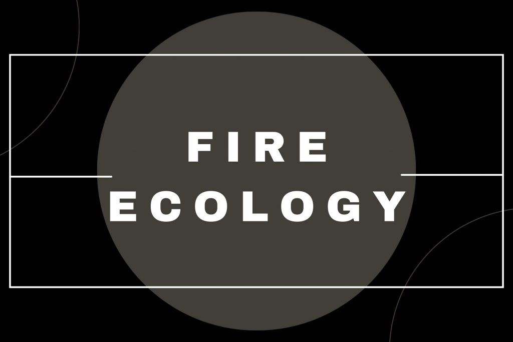 Fire Ecology (1)