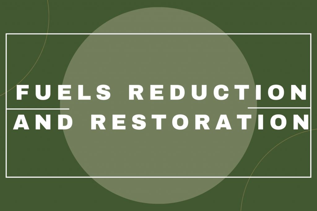 Fuels Reduction and Restoration (1)
