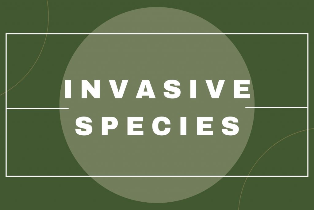 Invasive Species (1)