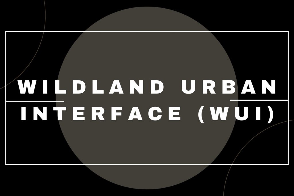 Wildland-Urban Interface (WUI) (1)