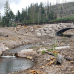Post Wildfire Recovery Through The Principles of Engineering With Nature Webinar Details