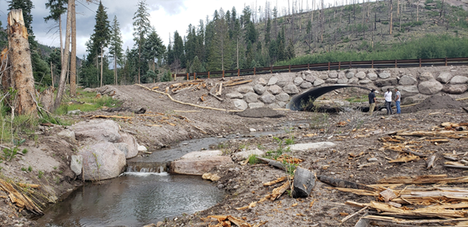 Post Wildfire Recovery Through The Principles of Engineering With Nature Webinar Details
