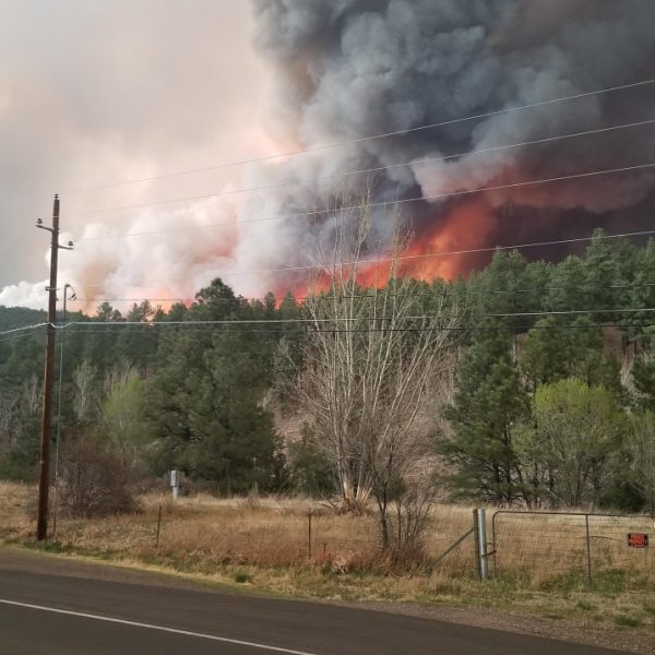 Fire in the Southwest – Fire Season 2023 Overview and 2024 Outlook