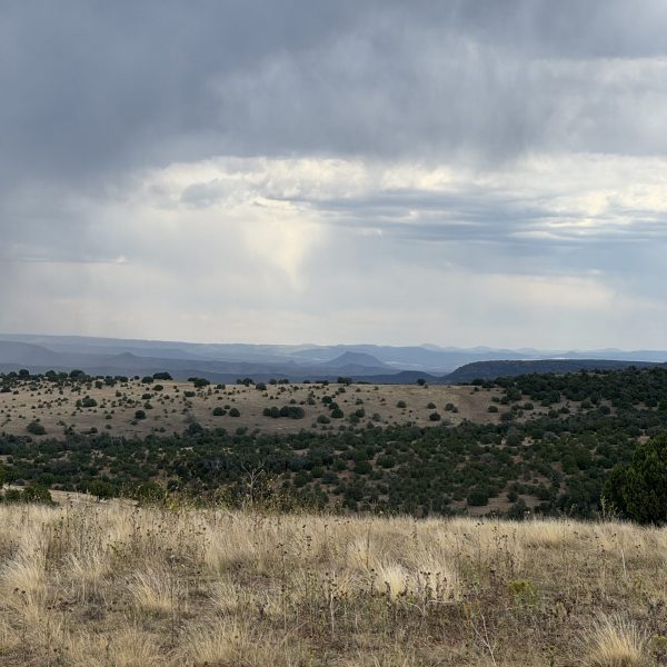 Southwest Indigenous Fire Stewardship Annotated Bibliography