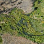 Image of wildfire refugia