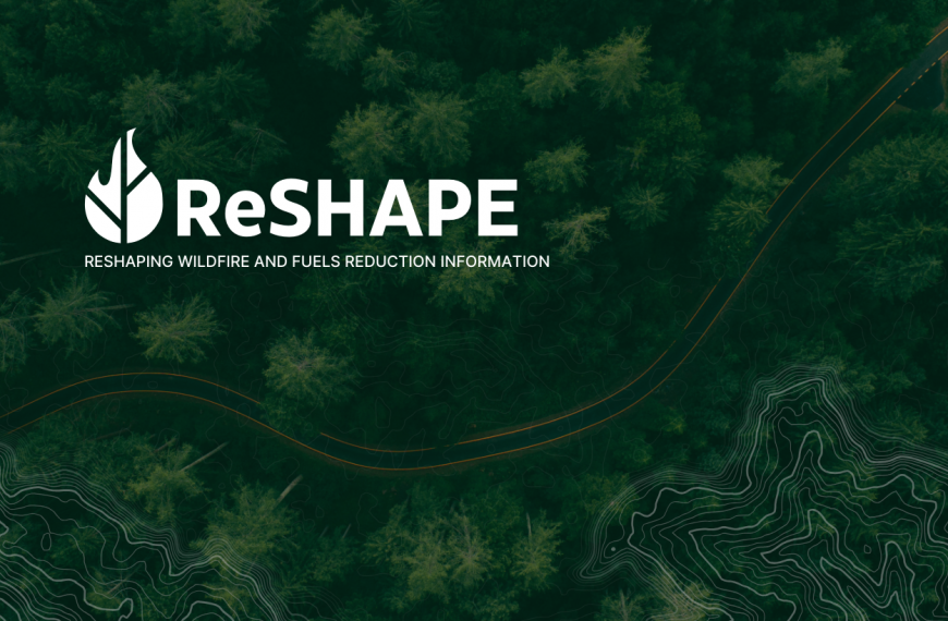 Dark green forest with ReSHAPE and SWERI logos in print on top.