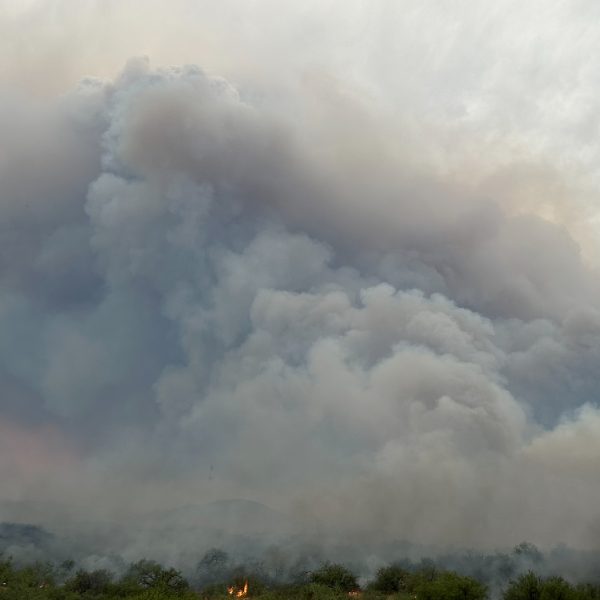 Fire in the Southwest: Fire season 2024 overview and 2025 outlook