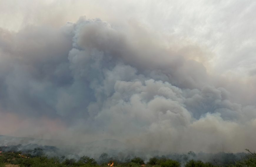Fire in the Southwest: Fire season 2024 overview and 2025 outlook